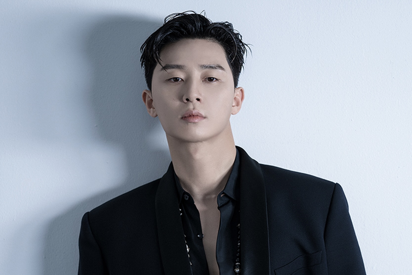 Park Seo Joon