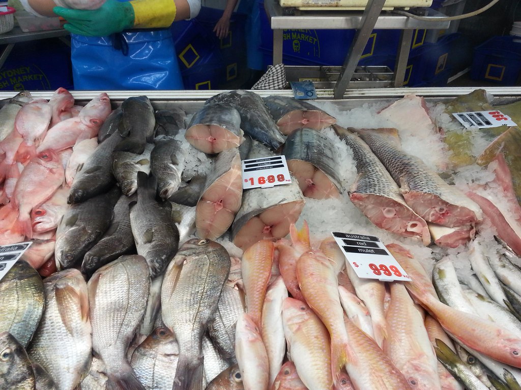Hải Triều