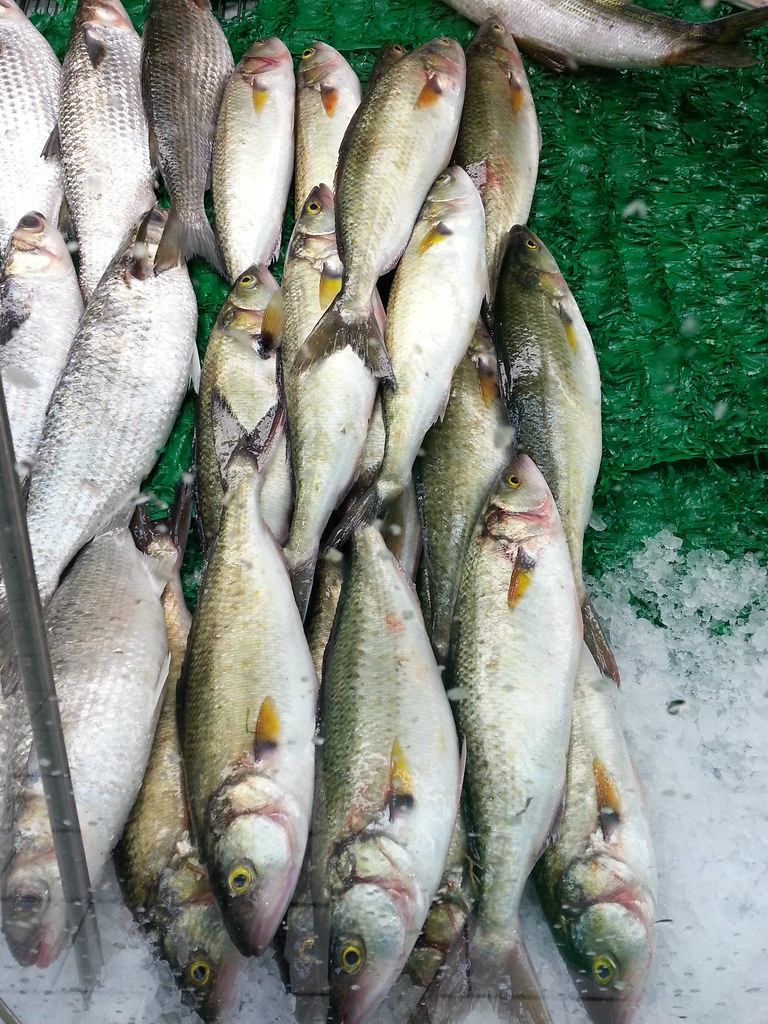 Hải Triều