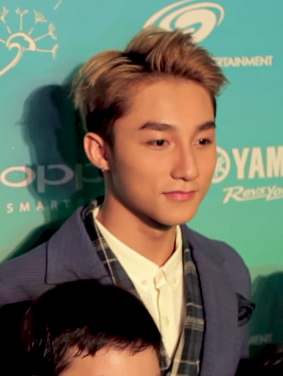 Sơn Tùng M-TP